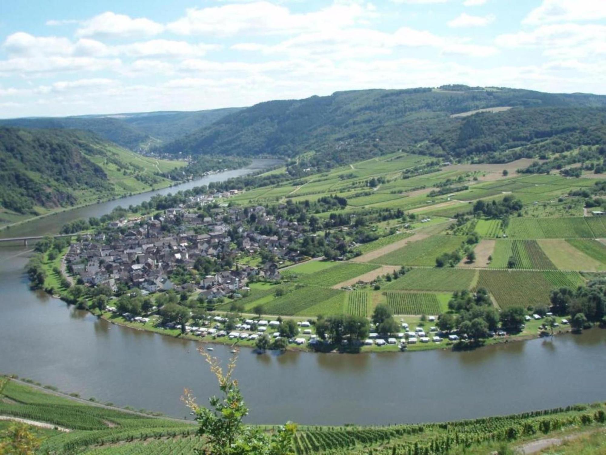 Sch Ne Wohnung In Der Moselregion Kinheim Екстериор снимка