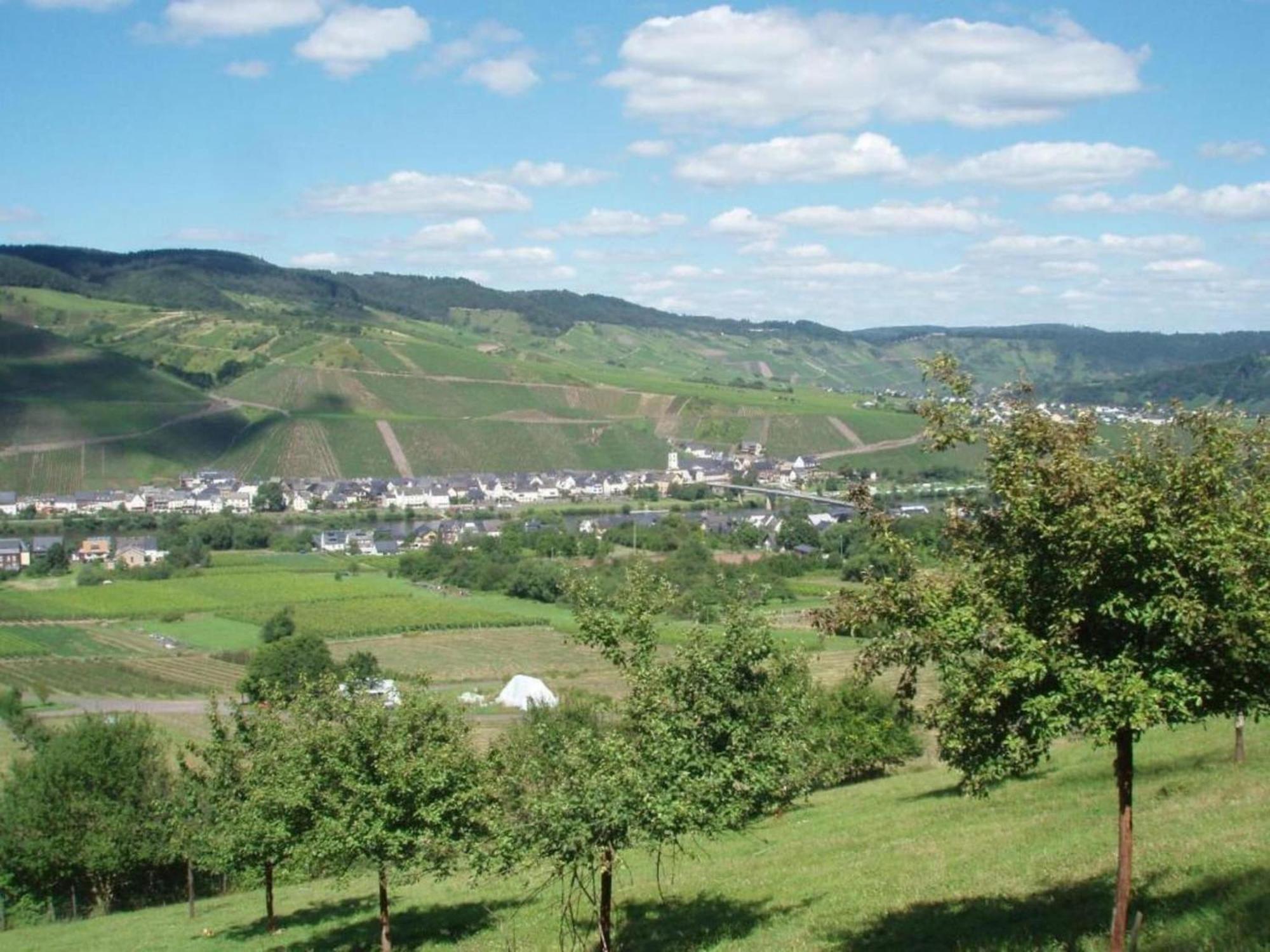Sch Ne Wohnung In Der Moselregion Kinheim Екстериор снимка
